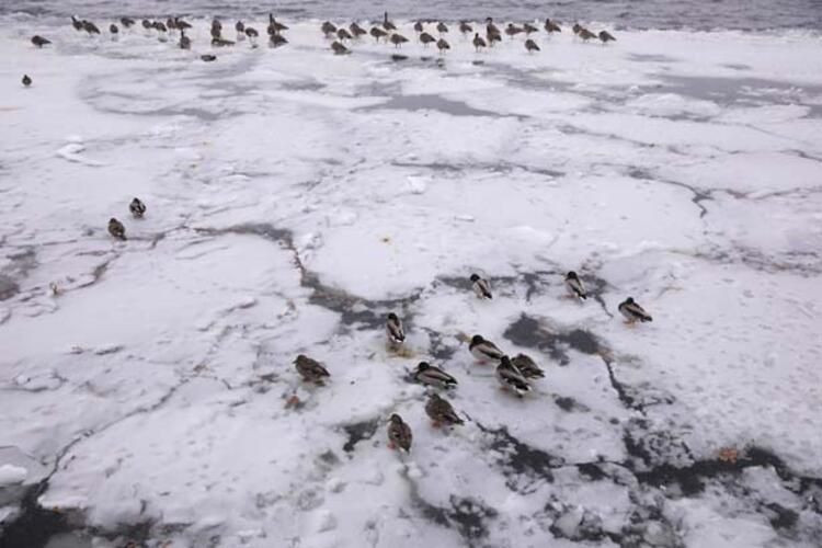 Baltık Canavarı Rusya üzerinden geliyor! - Sayfa 22