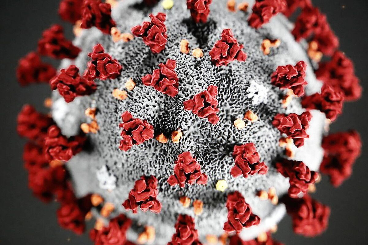 PCR testlerinde görülmeyen mutasyon! - Sayfa 6