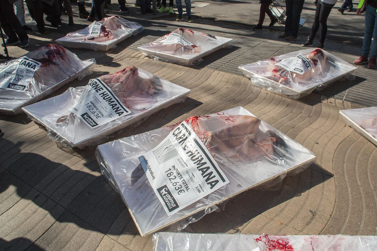 Barselona'da dehşete düşüren görüntü - Sayfa 5