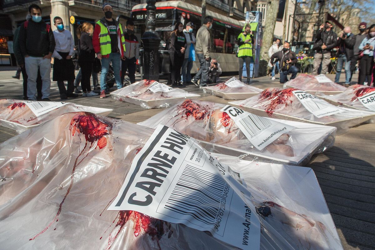 Barselona'da dehşete düşüren görüntü - Sayfa 7