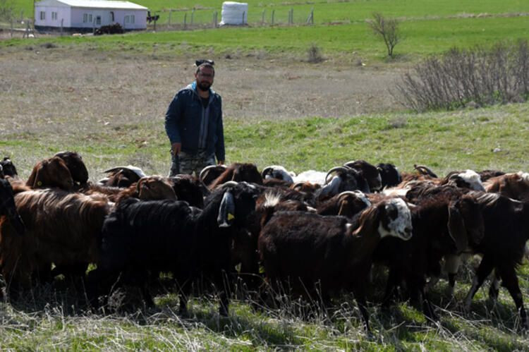 Şirketini kapatıp keçi çiftliği kurdu - Sayfa 10