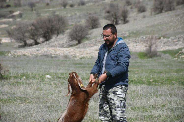 Şirketini kapatıp keçi çiftliği kurdu - Sayfa 8