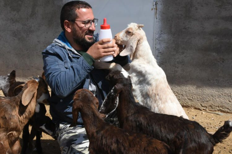 Şirketini kapatıp keçi çiftliği kurdu - Sayfa 6