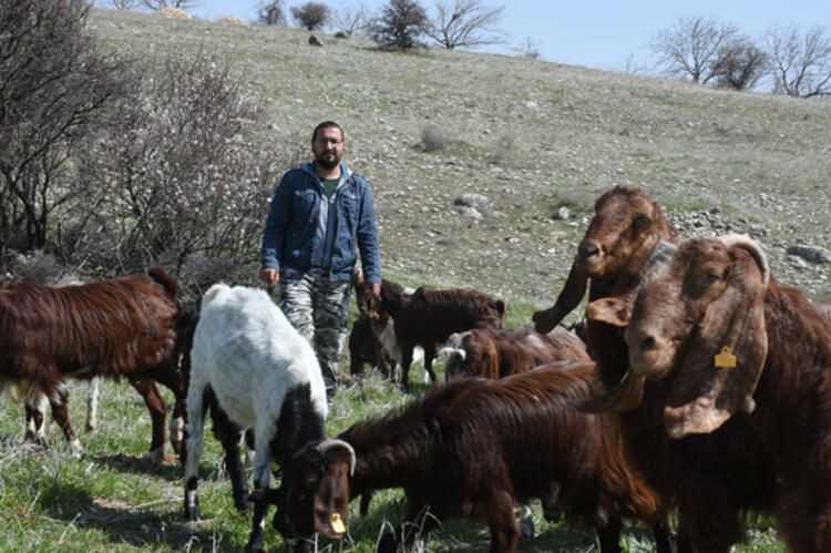 Şirketini kapatıp keçi çiftliği kurdu - Sayfa 5