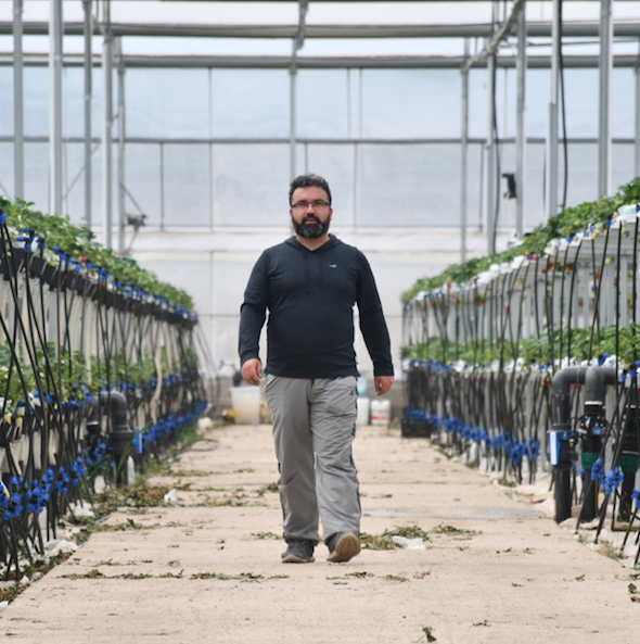 Metropoldeki işini bırakıp köyüne sera kurdu - Sayfa 5