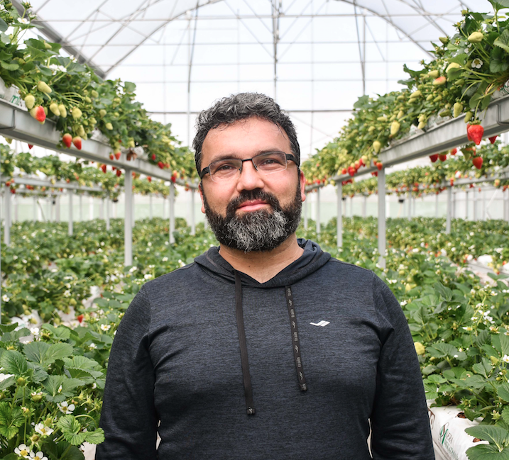 Metropoldeki işini bırakıp köyüne sera kurdu - Sayfa 8