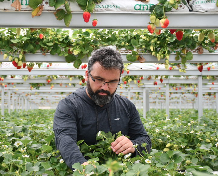 Metropoldeki işini bırakıp köyüne sera kurdu - Sayfa 7