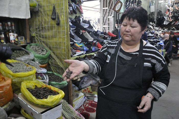 Sağlık Bakanı kameralar önünde zehirli bitkiyi kaynatıp içti! - Sayfa 5