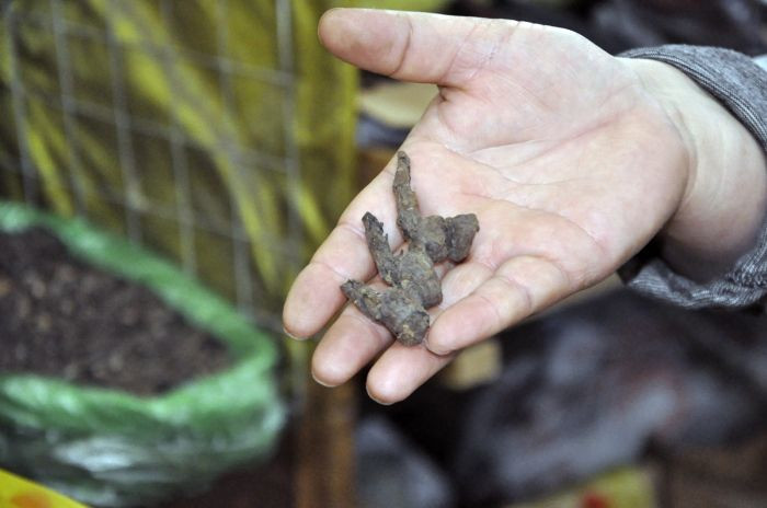 Sağlık Bakanı kameralar önünde zehirli bitkiyi kaynatıp içti! - Sayfa 7