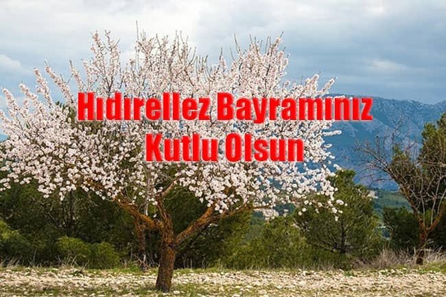 Resimli Hıdırellez mesajları 2021! Anneye, babaya, eşe, sevgiliye Hıdırellez kutlama mesajı - Sayfa 2