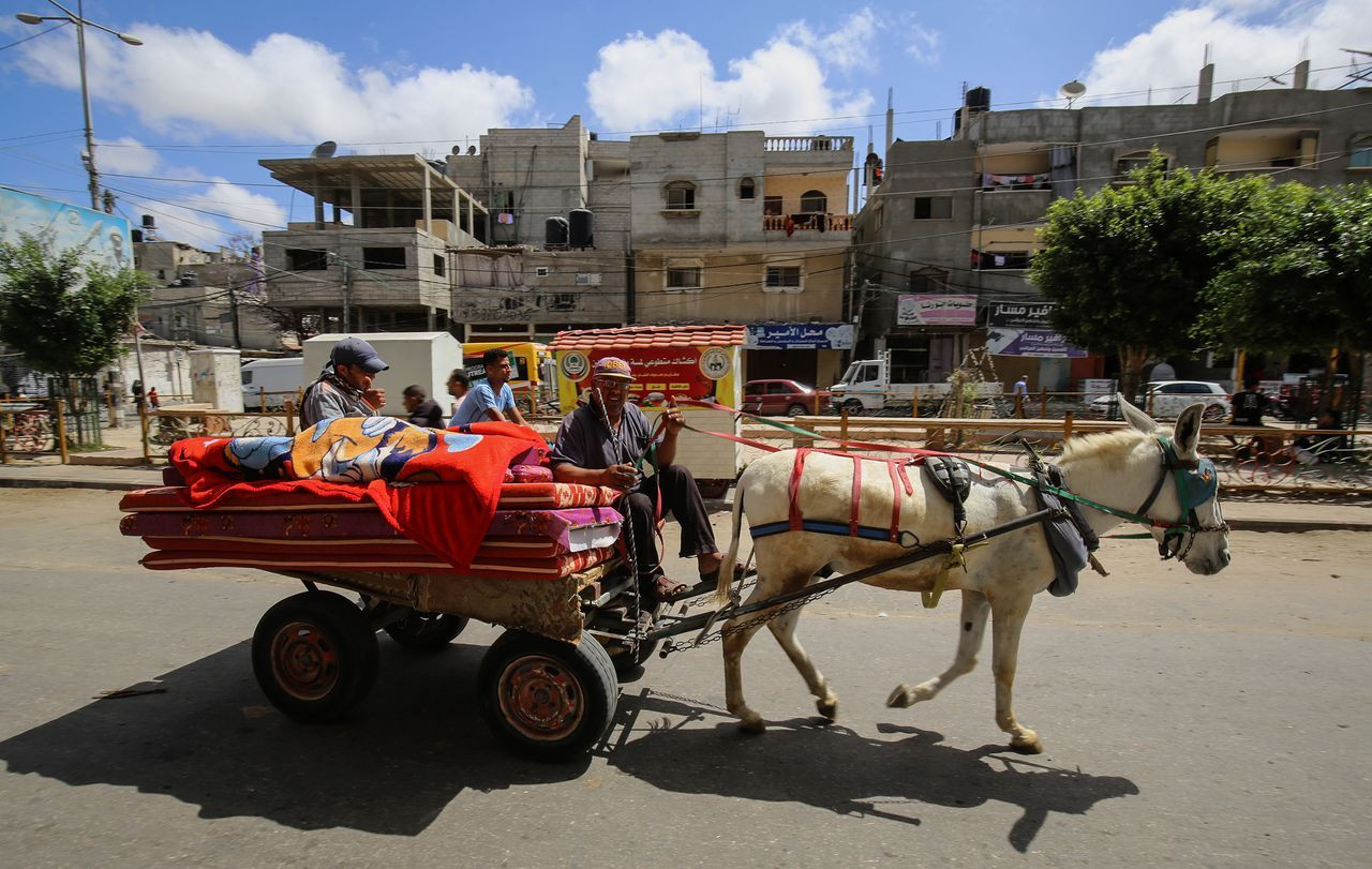İsrail'in gazabından okullara sığındılar - Sayfa 25