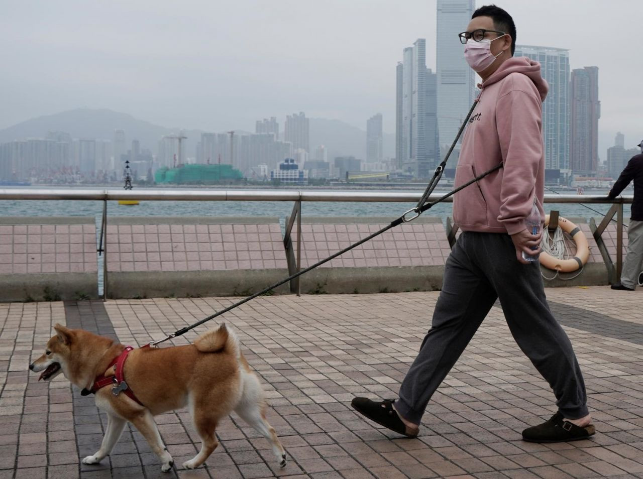 Hayvanseverleri korkutan açıklama: 'Köpek koronavirüsü' bulundu! - Sayfa 8