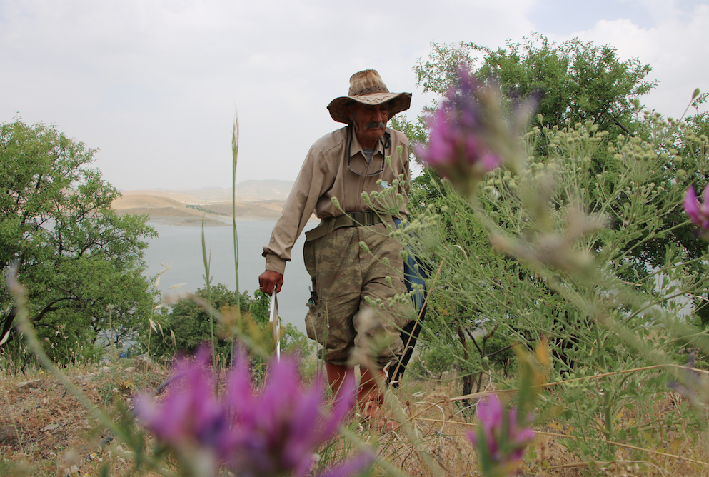 Tunceli'de sevindiren görüntü! Sular yükseldi - Sayfa 19