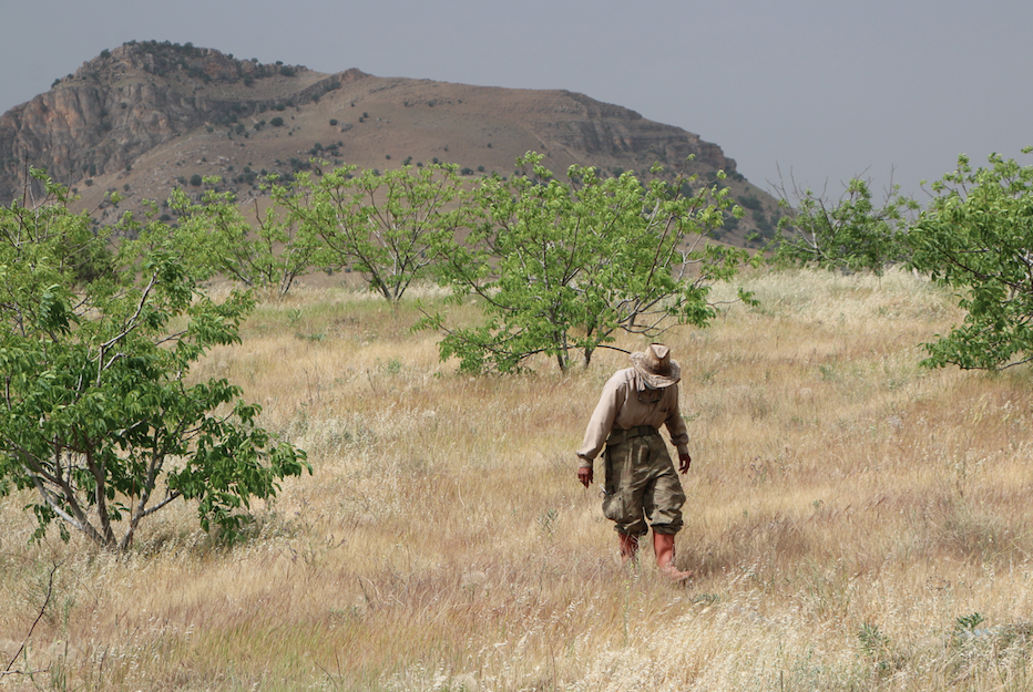 Tunceli'de sevindiren görüntü! Sular yükseldi - Sayfa 16