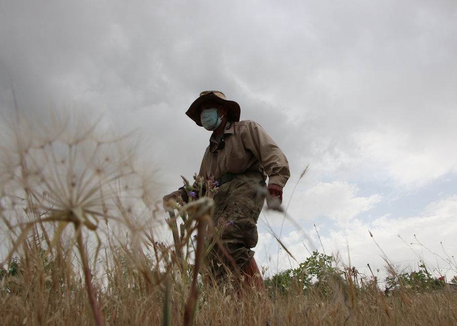 Tunceli'de sevindiren görüntü! Sular yükseldi - Sayfa 12
