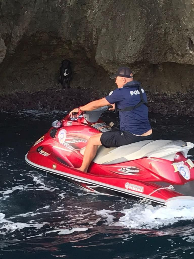 Köpeğini kurtarmak isterken falezlerde mahsur kaldı - Sayfa 5