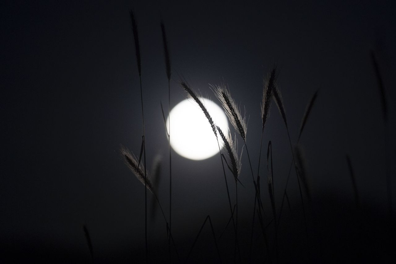 Türkiye'den Süper Ay manzaraları - Sayfa 39