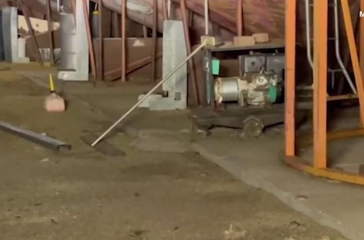 Yamyam fareler ülkeyi sardı! Ölümcül hastalık yayıyorlar... - Sayfa 12