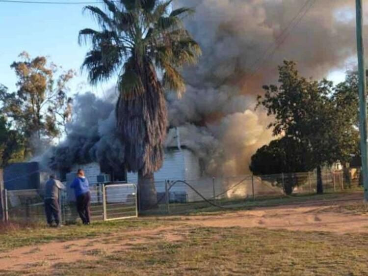 Yamyam fareler ülkeyi sardı! Ölümcül hastalık yayıyorlar... - Sayfa 16