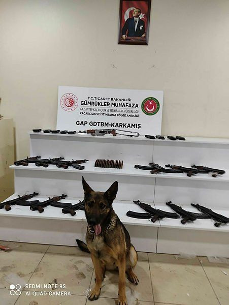 CHP'li başkanın oğlu silah kaçakçılığından gözaltında - Sayfa 6