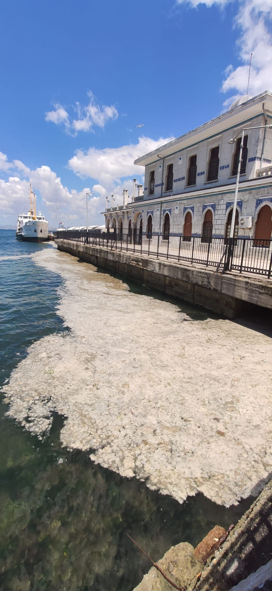 Deniz salyası Marmara Denizi'ni esir aldı! - Sayfa 7