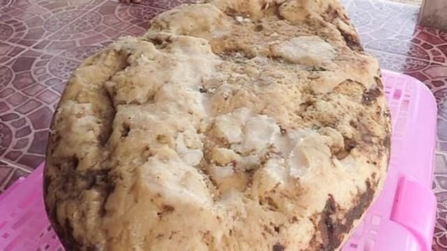 Yoksulluk içinde yüzüyordular! Buldukları 'kusmuk' hayatlarını kurtardı... - Sayfa 9