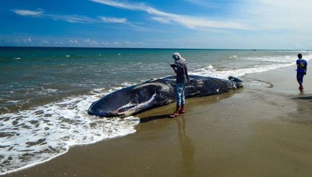 Yoksulluk içinde yüzüyordular! Buldukları 'kusmuk' hayatlarını kurtardı... - Sayfa 5