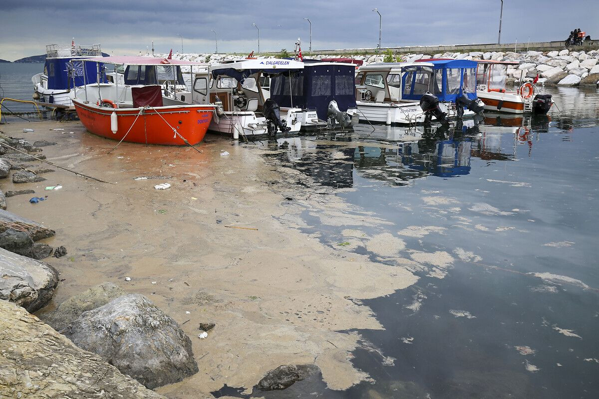 "Marmara obez oldu şeker komasına girdi" - Sayfa 6