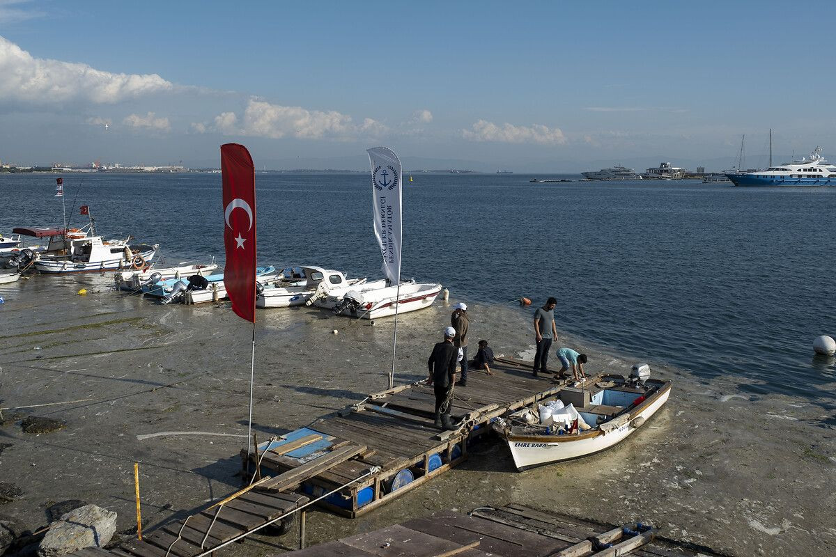 "Marmara obez oldu şeker komasına girdi" - Sayfa 7