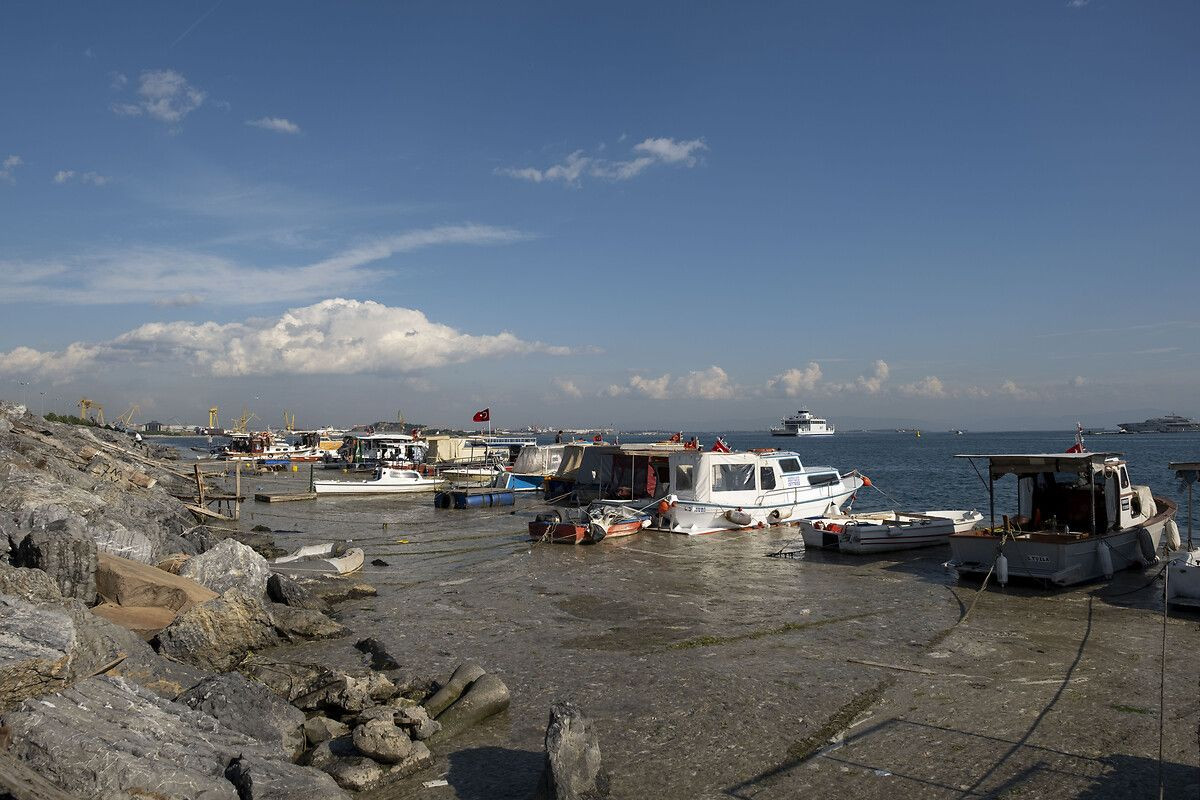 Uzmanlardan kritik uyarı: Sakın girmeyin, asla yemeyin! - Sayfa 6