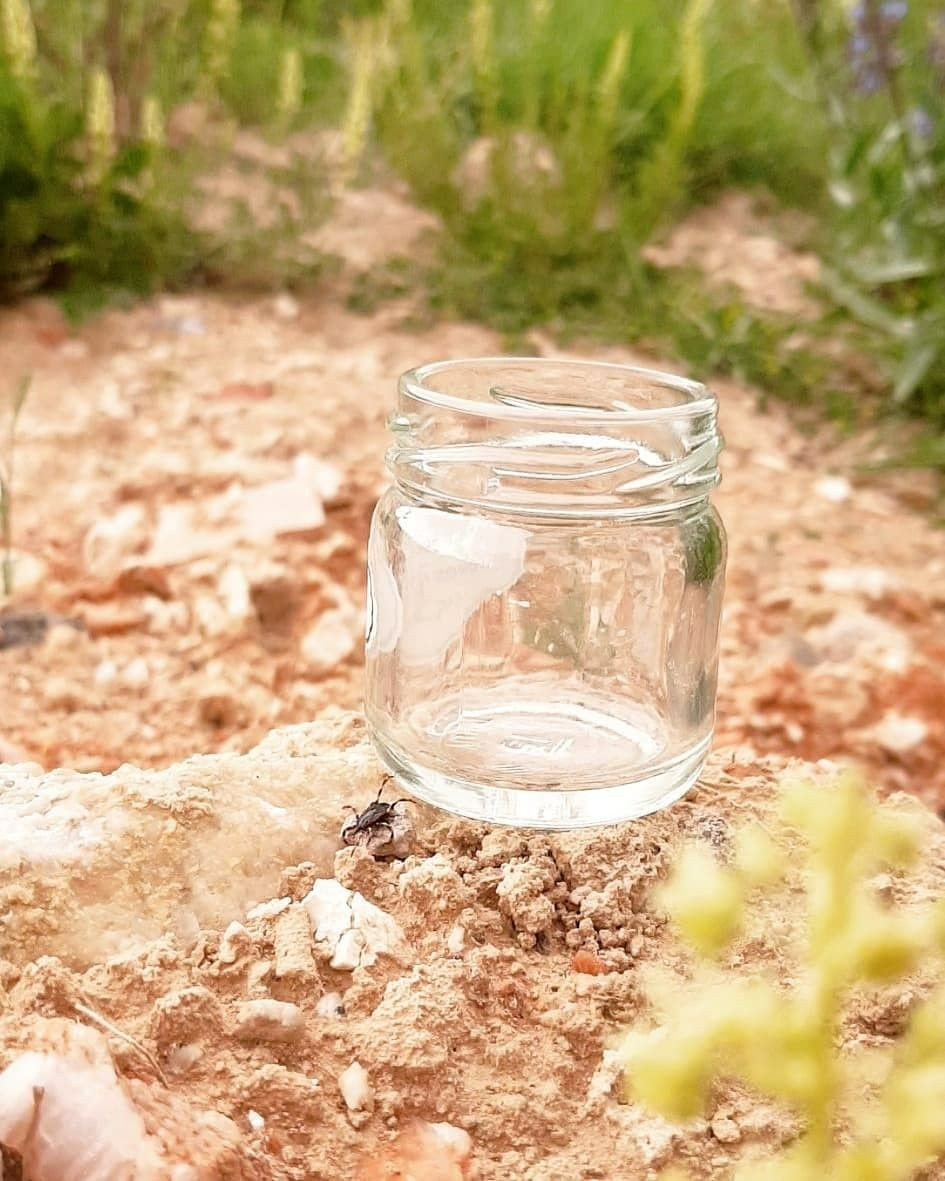 Bunu sakın yapmayın! Kene ısırıklarında hayati önem taşıyor - Sayfa 10