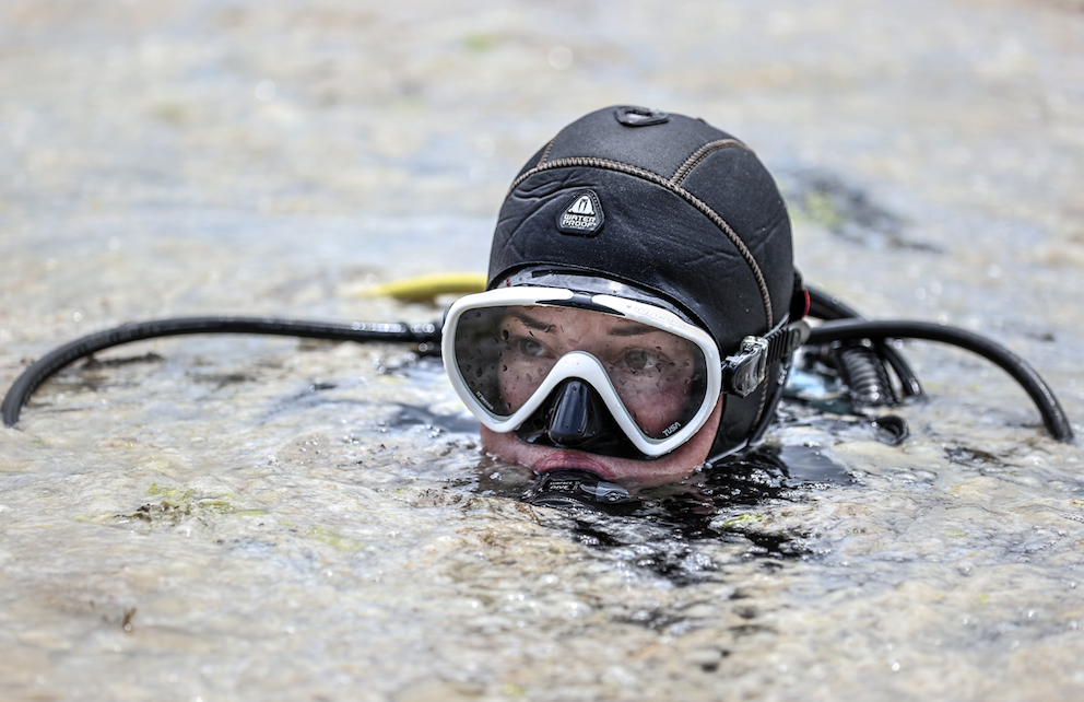 Türkiye'nin en büyük deniz seferberliği başladı! Denizlerdeki müsilaj temizleniyor - Sayfa 48