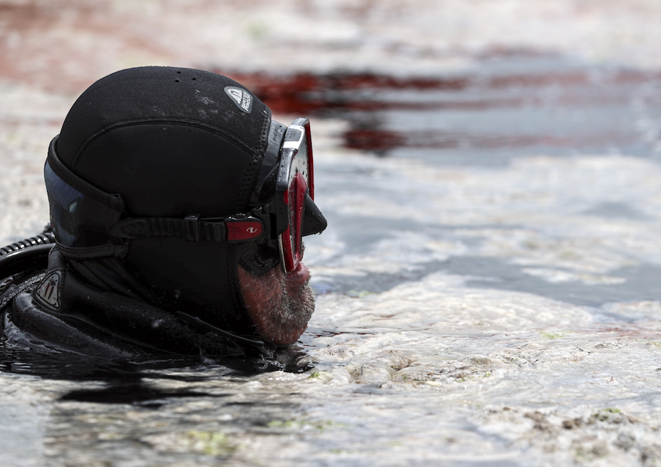 Türkiye'nin en büyük deniz seferberliği başladı! Denizlerdeki müsilaj temizleniyor - Sayfa 13