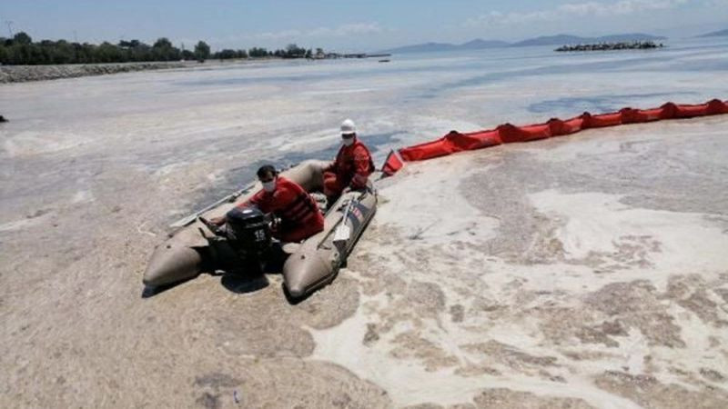 Deniz salyası faciası giderek büyüyor! Tatilcilere korkutan uyarı... - Sayfa 6