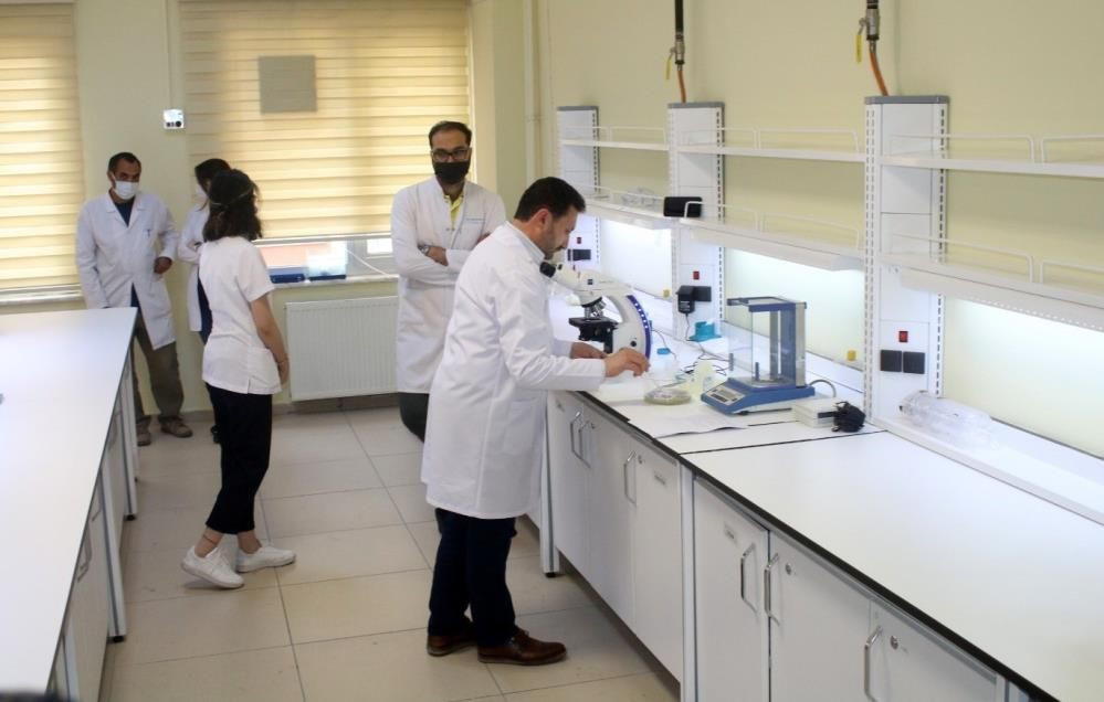 Deniz salyasıyla ilgili şoke eden adım: Yaralar için krem yapılacak! - Sayfa 10