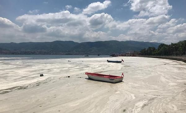 Deniz salyası kabusu tatilcileri etkiledi: İstanbul'dan kaçış yeri artık Karadeniz oldu! - Sayfa 12