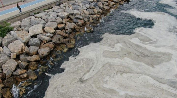 Deniz salyası kabusu tatilcileri etkiledi: İstanbul'dan kaçış yeri artık Karadeniz oldu! - Sayfa 5