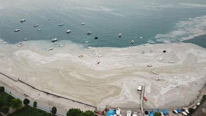 Deniz salyası kabusu tatilcileri etkiledi: İstanbul'dan kaçış yeri artık Karadeniz oldu! - Sayfa 7