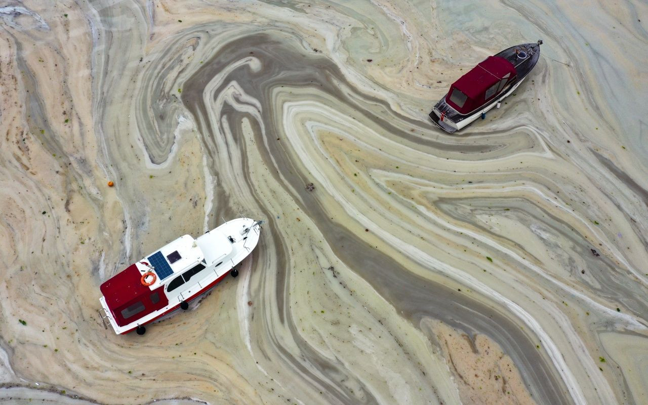 Müsilaj belası Caddebostan'a geri döndü - Sayfa 7