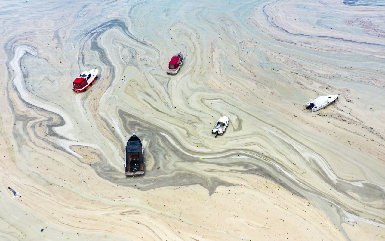 Müsilaj belası Caddebostan'a geri döndü - Sayfa 8