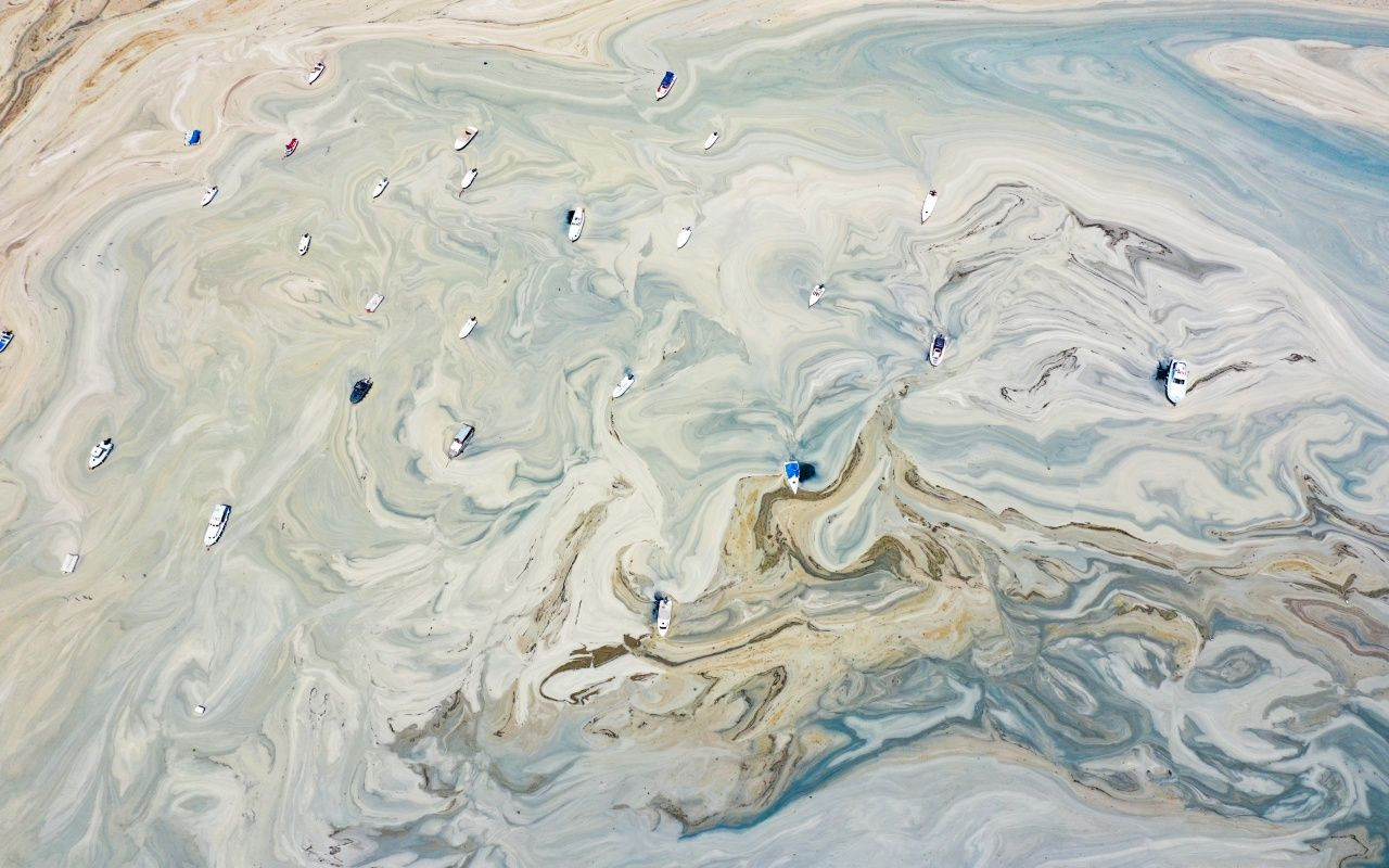 Müsilaj belası Caddebostan'a geri döndü - Sayfa 11