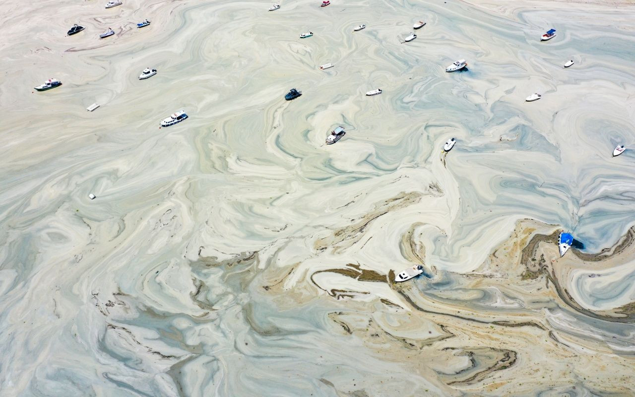 Müsilaj belası Caddebostan'a geri döndü - Sayfa 9