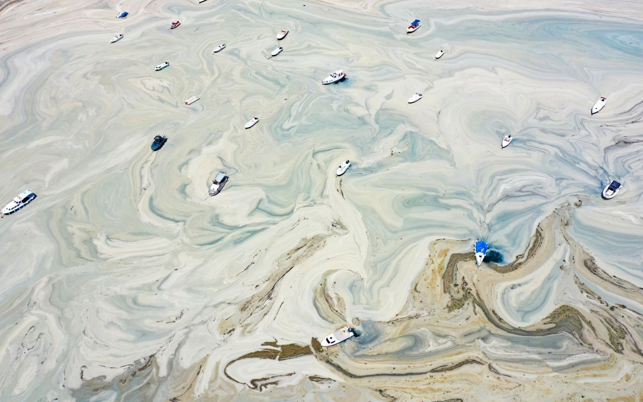 Müsilaj belası Caddebostan'a geri döndü - Sayfa 5