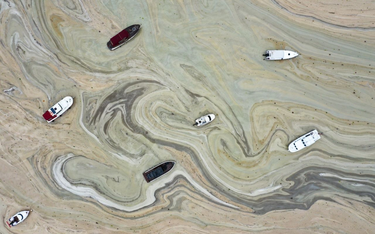 Müsilaj belası Caddebostan'a geri döndü - Sayfa 6