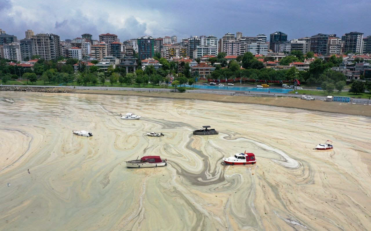 Müsilaj belası Caddebostan'a geri döndü - Sayfa 12