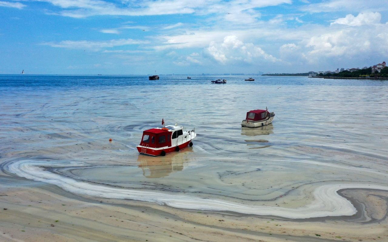 Müsilaj belası Caddebostan'a geri döndü - Sayfa 10