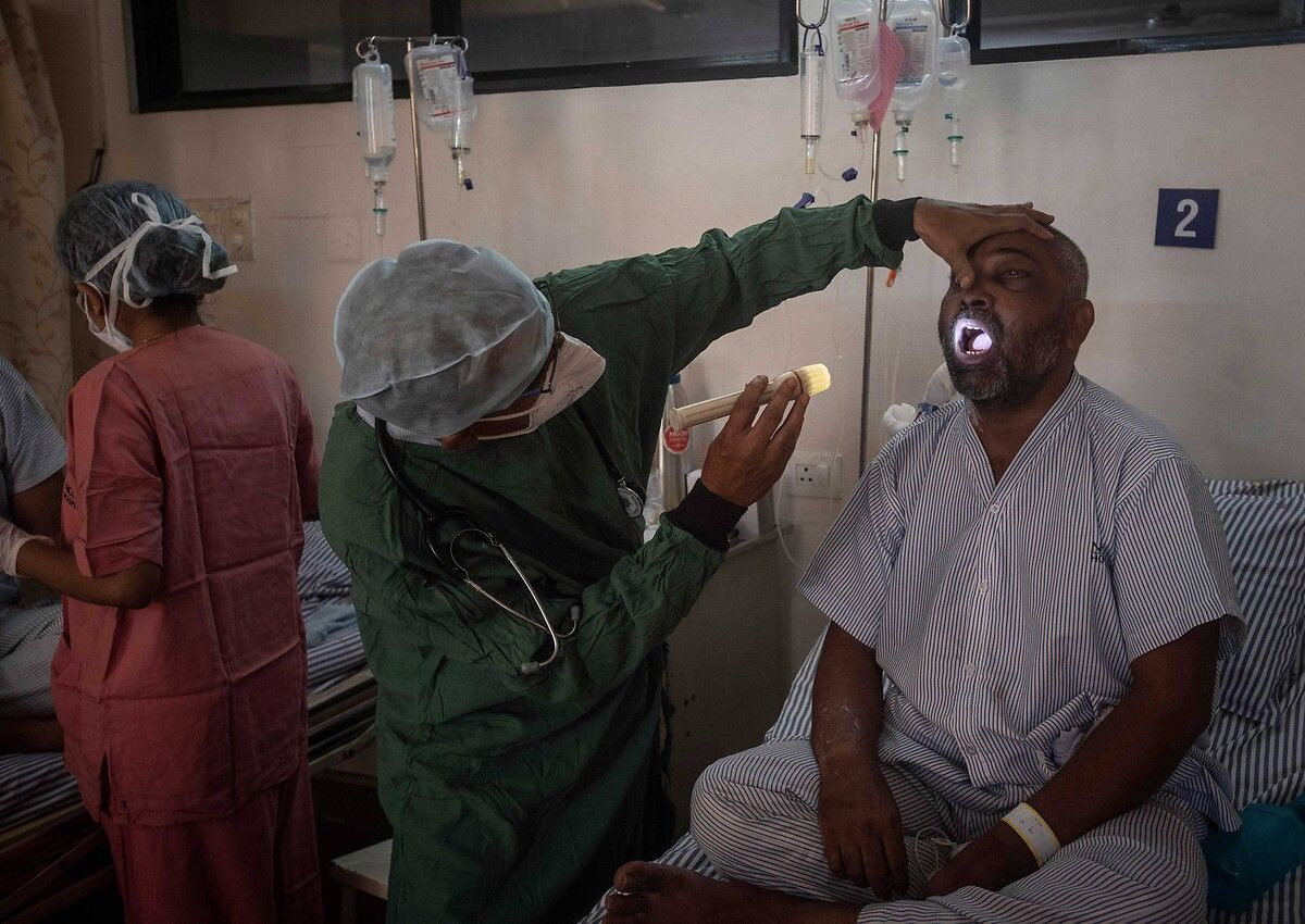 Hindistan'da ortaya çıkan 'kara mantar' hastalığı Umman'dan sonra Arjantin'de de görüldü - Sayfa 8