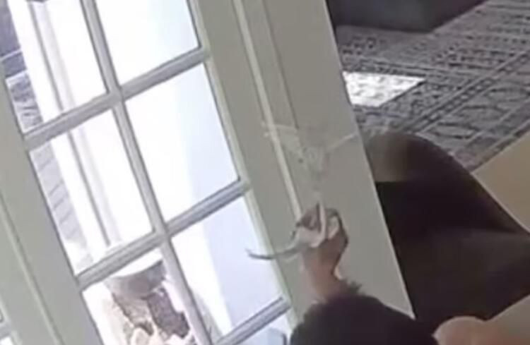 Böyle rezillik görülmedi: Çırılçıplak dolaşıp yaptıkları şoke etti! - Sayfa 10