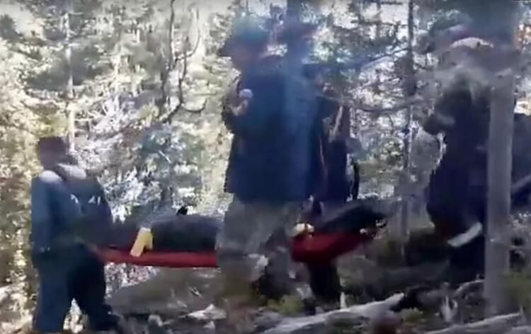 Dünya bu olayı konuşuyor: Ayı, 16 yaşındaki çocuğu canlı canlı yedi! - Sayfa 7