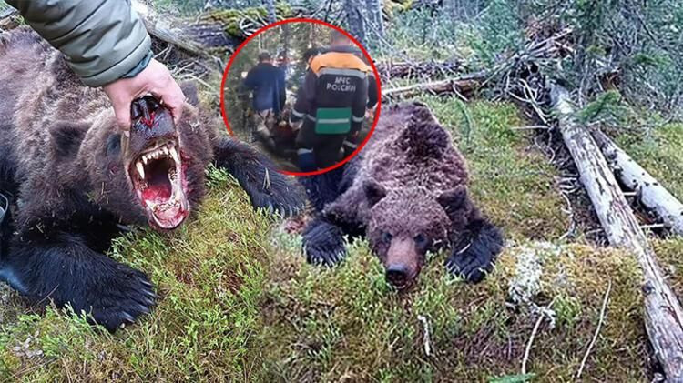 Dünya bu olayı konuşuyor: Ayı, 16 yaşındaki çocuğu canlı canlı yedi! - Sayfa 9